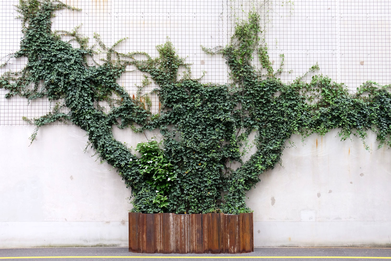 苏黎世 Maag 广场的工业风变身-7