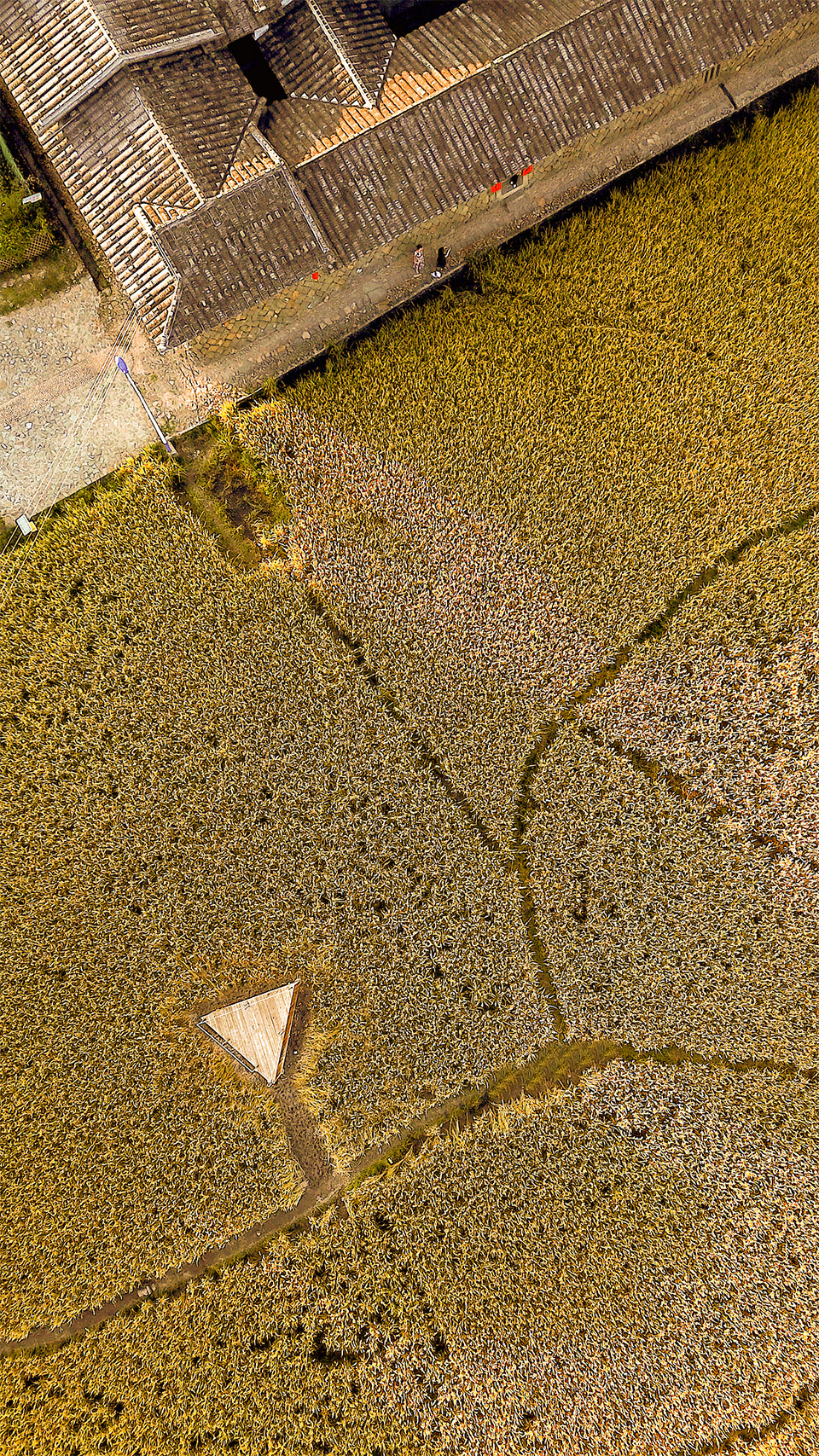 青石寨的稻亭和稻场，福建 / 个个世界+先进建筑实验室-76