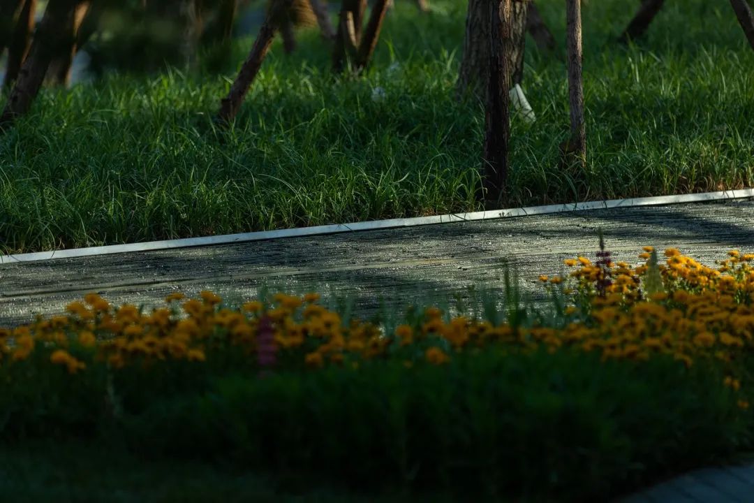 天津龙湖·天曜丨中国天津丨凯盛上景(北京)景观规划设计有限公司-45