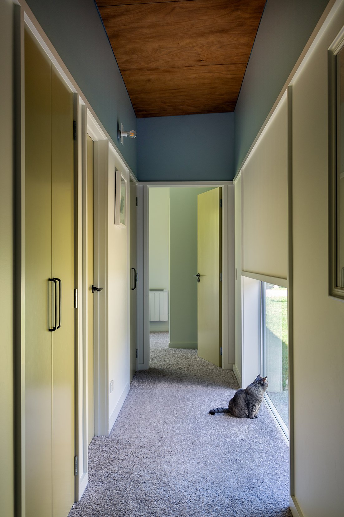 图基图基小屋（注：Tukituki可能是特定名称，若有更准确背景信息，可进一步精准翻译） 丨新西兰丨Parsonson Architects Ltd.-38