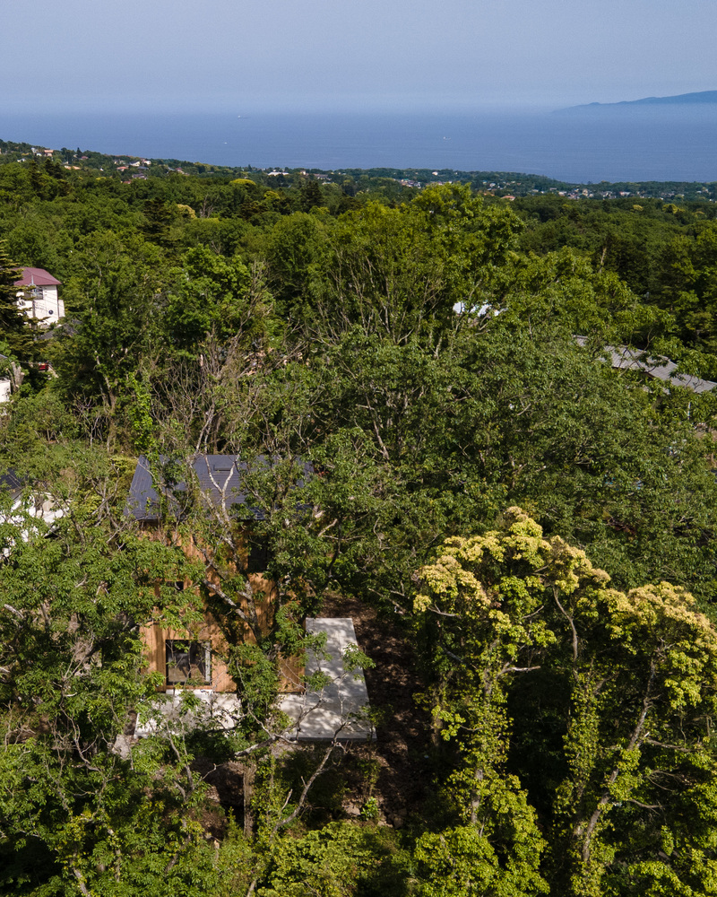 日本伊豆高原 I 住宅丨Florian Busch Architects-9