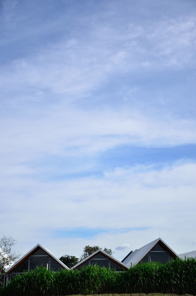 哥伦比亚农村学校 · 模块化设计与景观互动-47