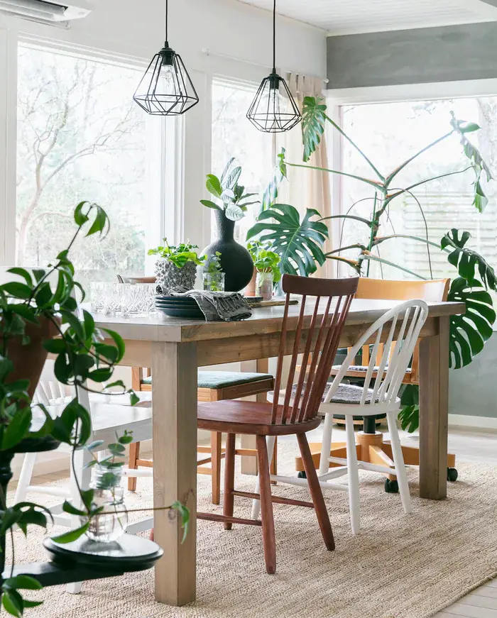 绿意盎然 · 北欧风家居的植物魔法-2