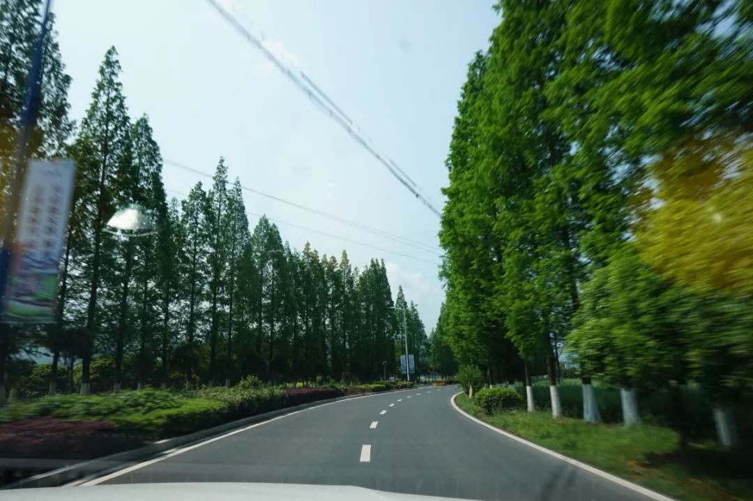 团队踏青，感受慢生活之美-2