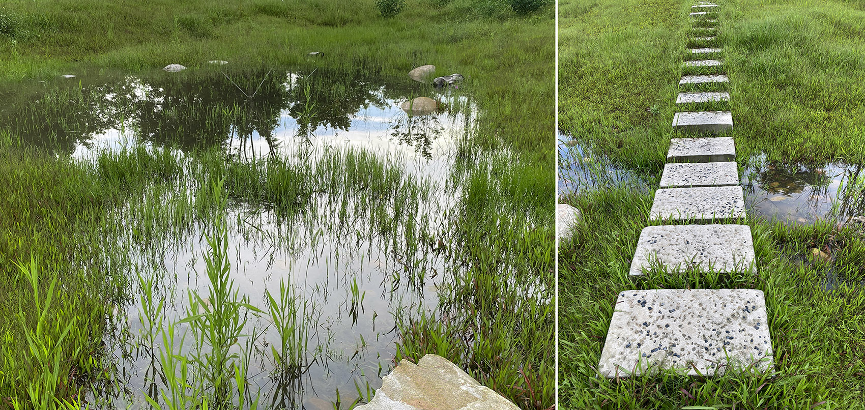 重焕生机的土地·深圳光明虹桥1958生态公园丨中国深圳丨自组空间-70