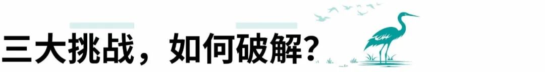 顺德鹭鸟湿地片区景观规划丨中国佛山丨AECOM-10