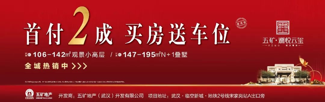 武汉国际会展商务新城，打造世界级空铁枢纽-37