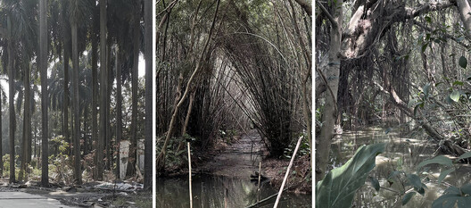 顺德云鹭湿地博物馆丨中国佛山丨Link-Arc建筑事务所-68