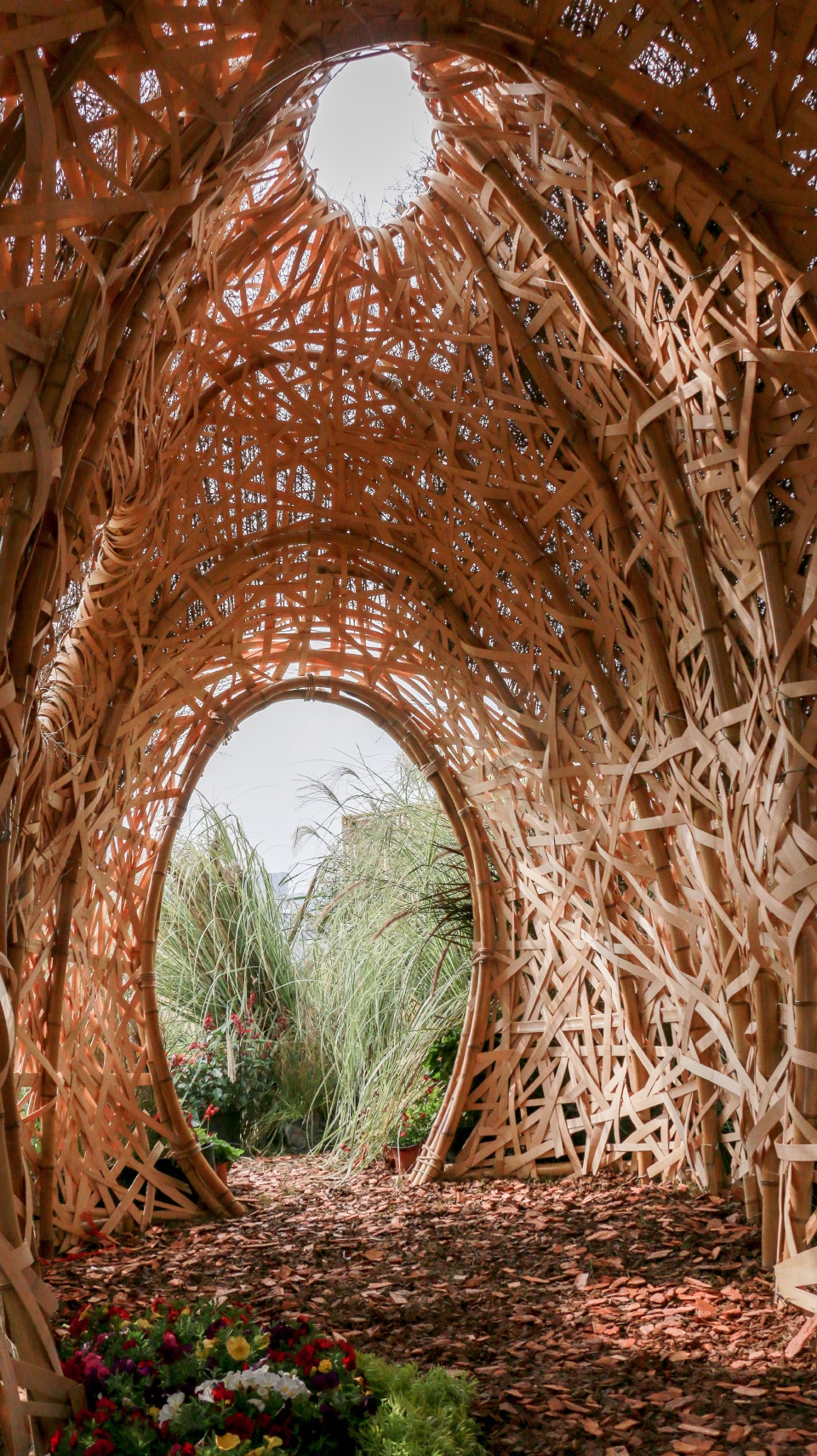 秘境花园 | 树洞中的心灵秘境-29