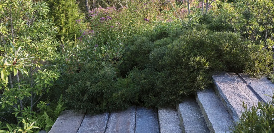 越橘之家丨美国丨Matthew Cunningham Landscape Design-33