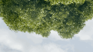 日清设计丨新天地艺术节—对抗“社交孤岛”的天空之镜 丨中国上海-4