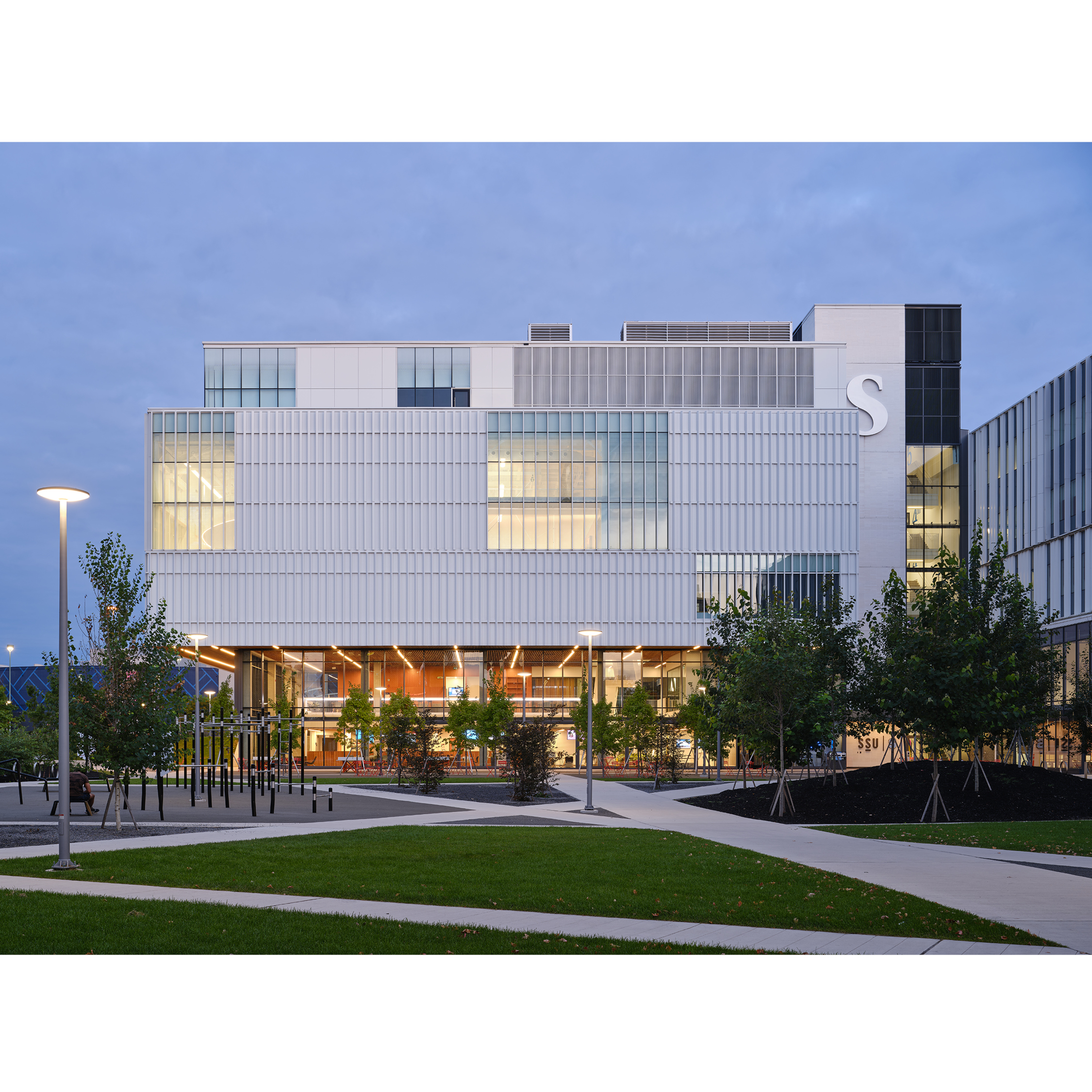 News - Montgomery Sisam-1