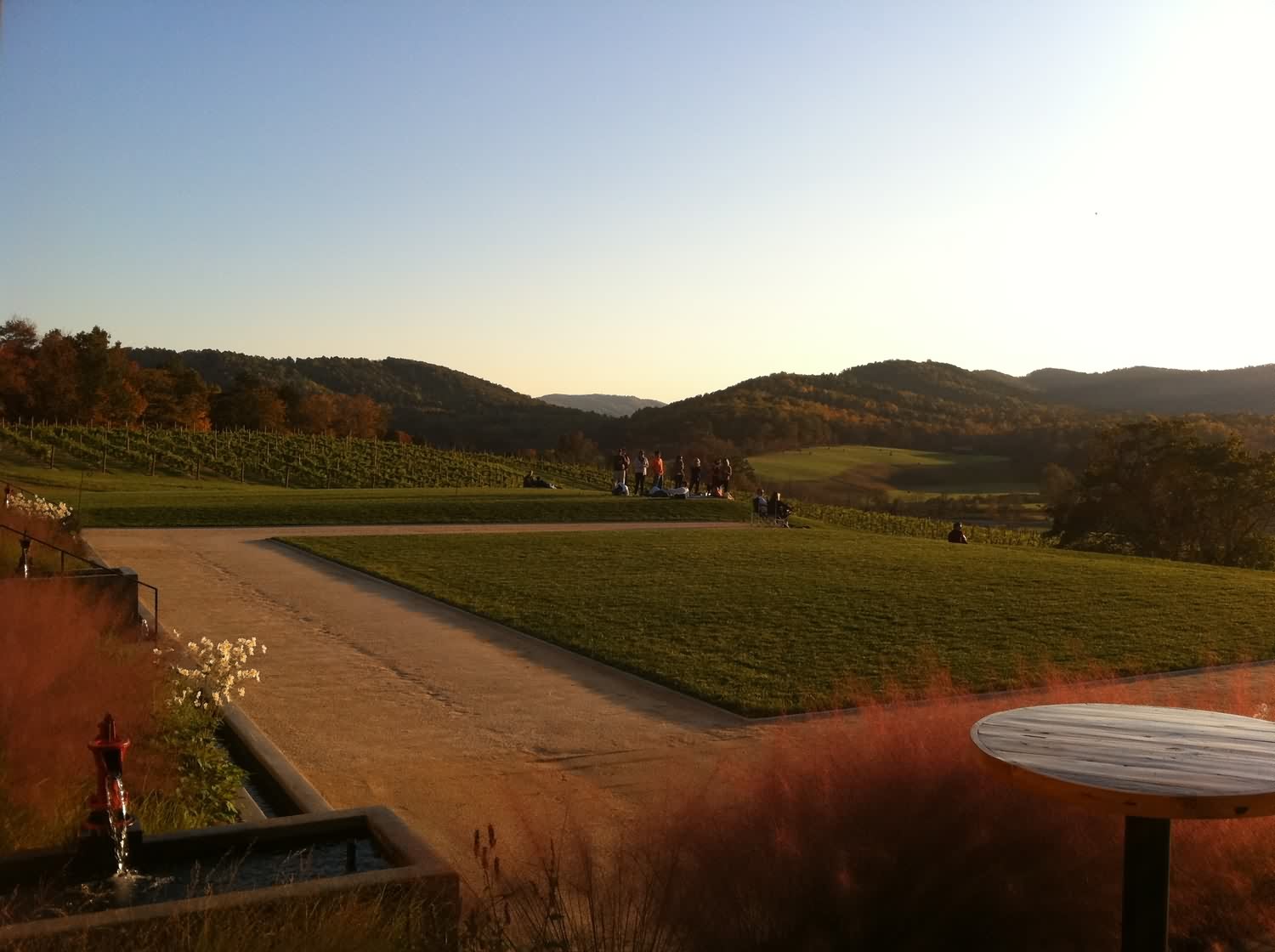 pippin山酒厂庭院景观 by siteworks studio-5