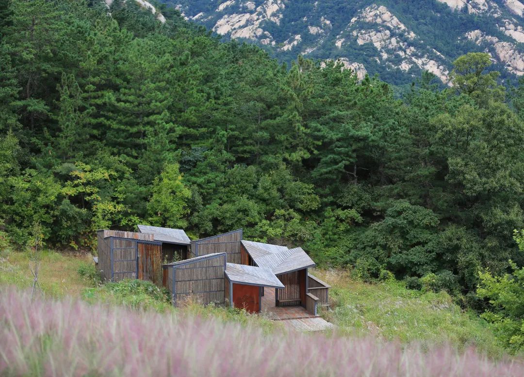 昆嵛山国家级自然保护区景观设计丨大小景观-22