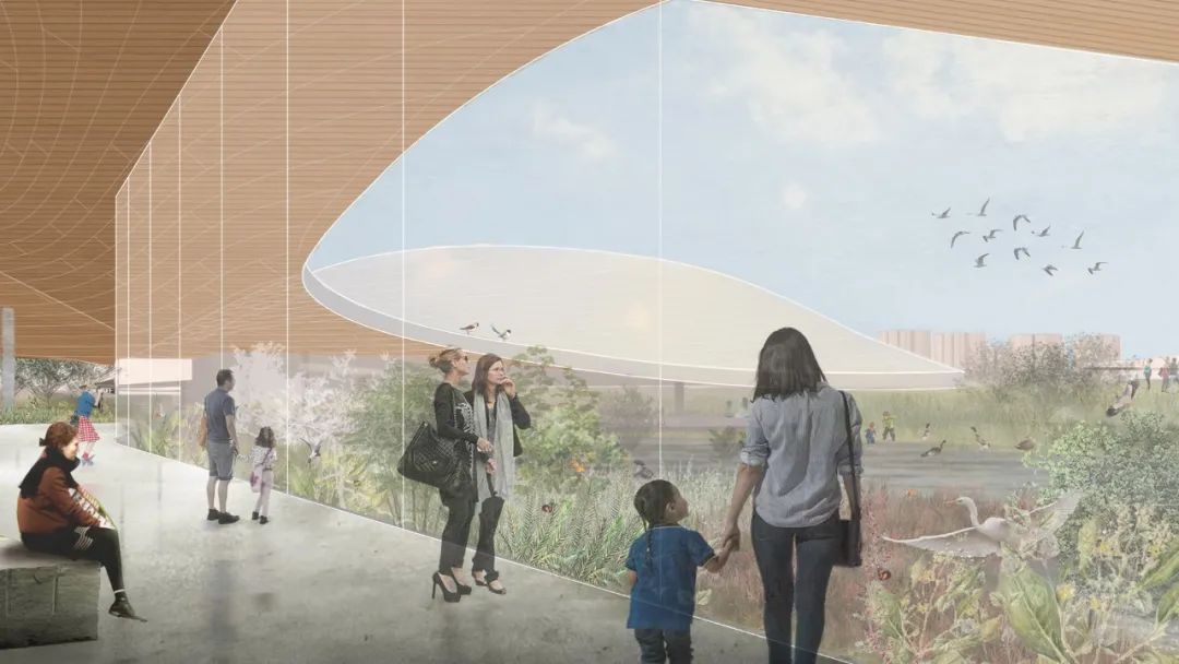 深圳红树林湿地博物馆丨中国深圳丨URBANUS都市实践+中国城市建设研究院无界景观工作室-45