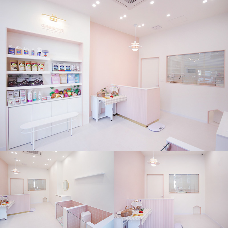 粉色调的梦幻美容室 | 格雷厄姆·斯图迪奥的精彩设计-1