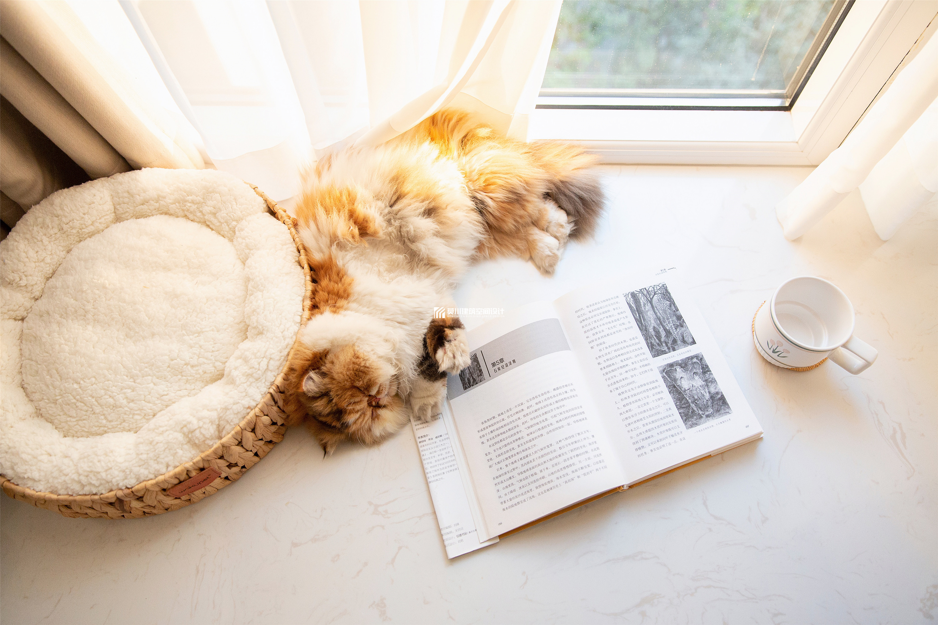 鼎太风华 127m²北欧风-38