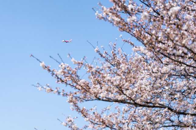 公園に向かい,浮かぶように佇むくつろぎの2階リビング丨加藤淳一級建築士事務所-17