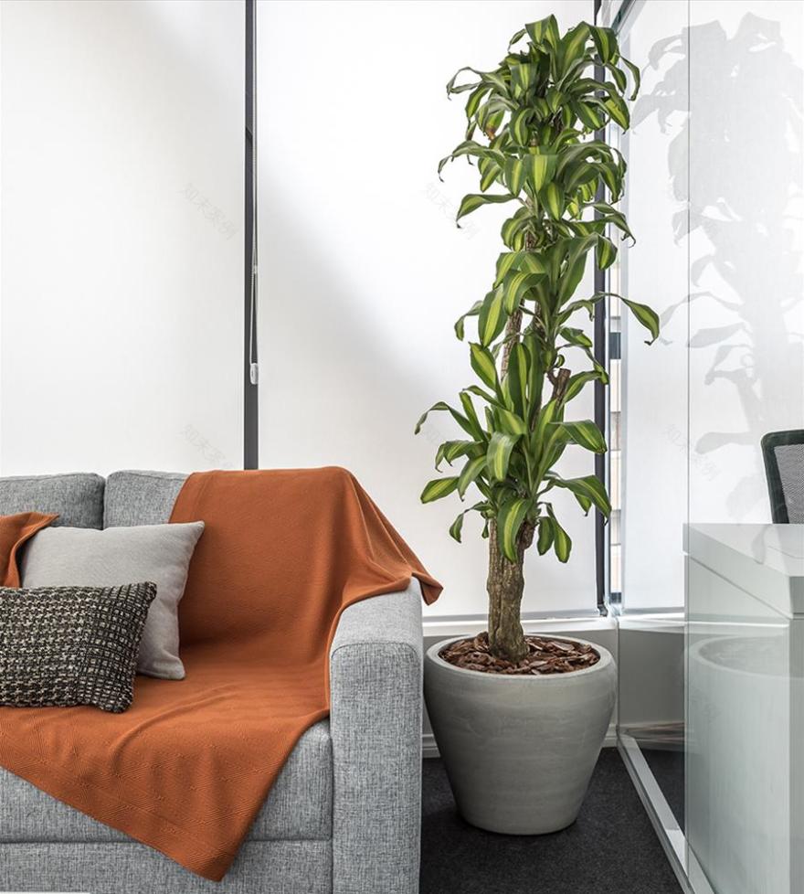 Welcome Weddings 办公室设计-10