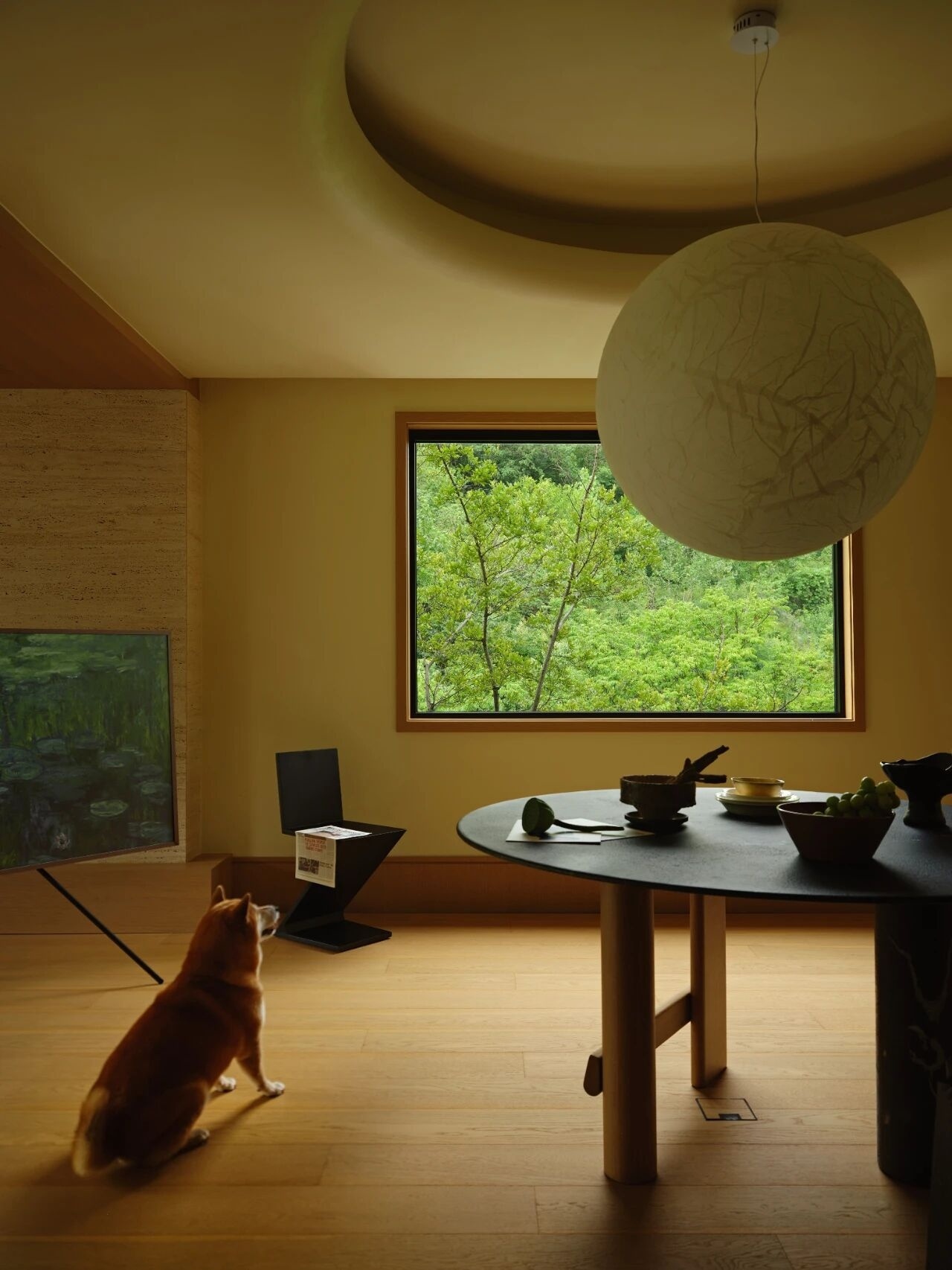 栖所:与自然和毛孩的对话丨中国南京丨读白设计-6