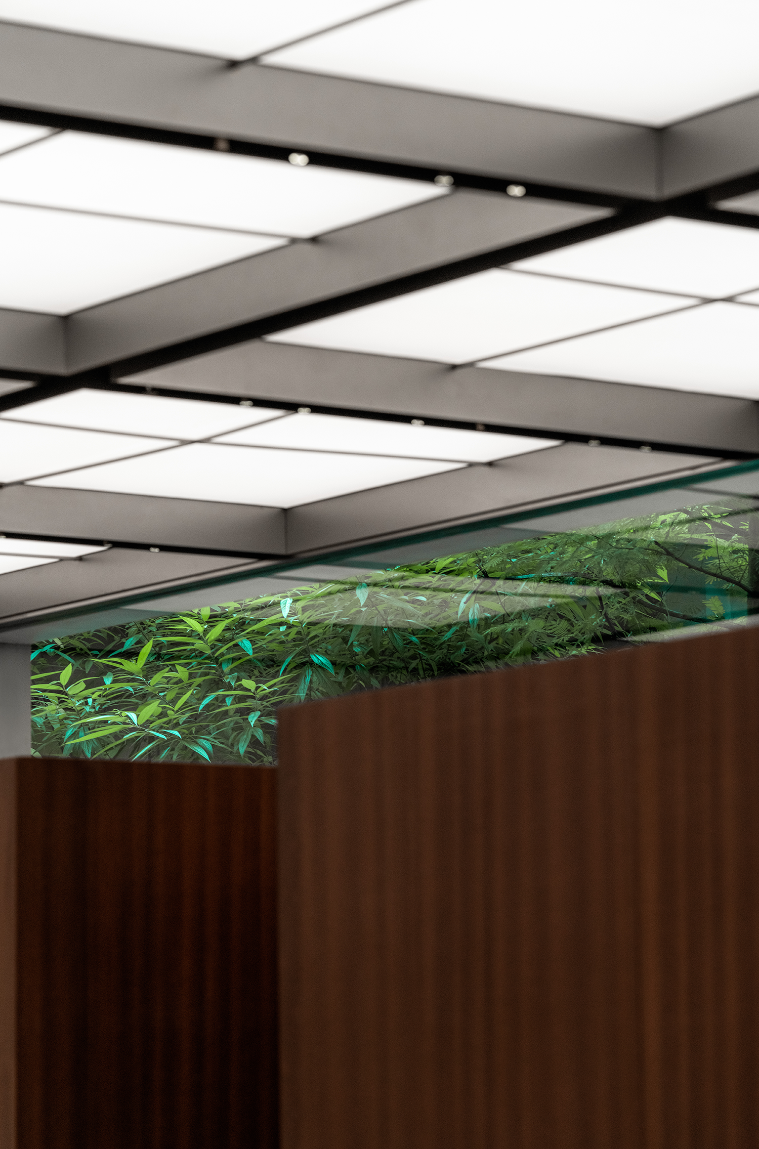 LINFORNI 林弗里概念买手店丨中国成都丨PENG & PARTNERS 鹏和朋友们设计事务所-105