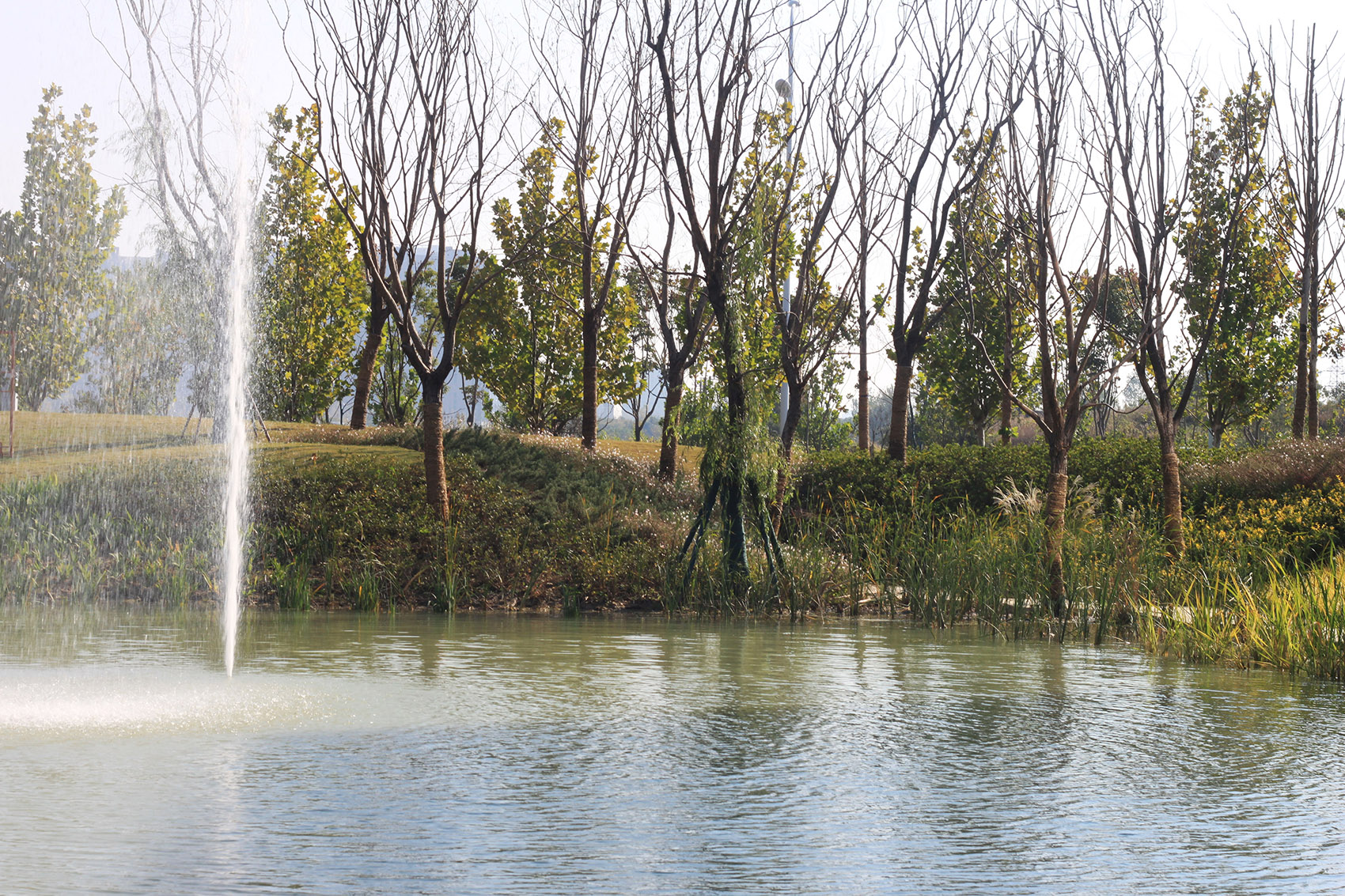 访谈专辑第二十一期 & 张唐景观-53