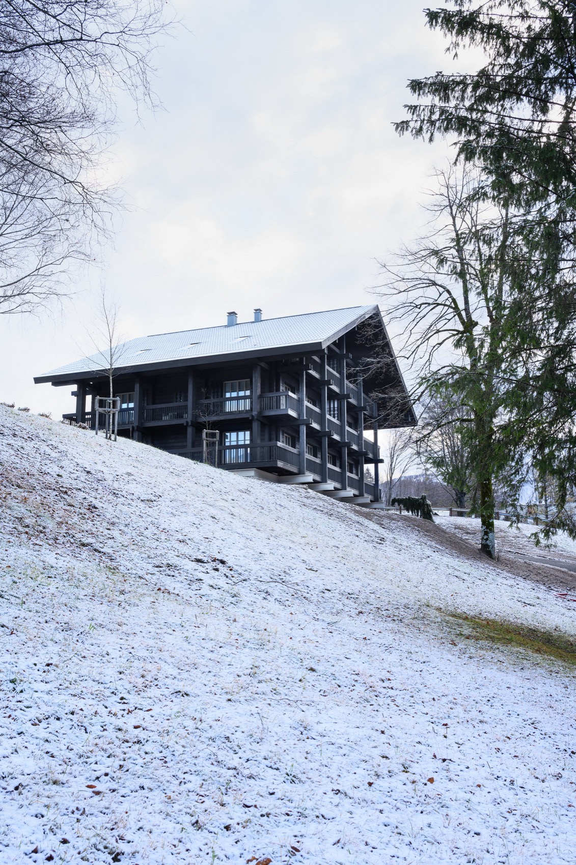 高山酒店(Muhr别墅重建项目)丨斯洛文尼亚丨OFIS ARHITEKTI-148