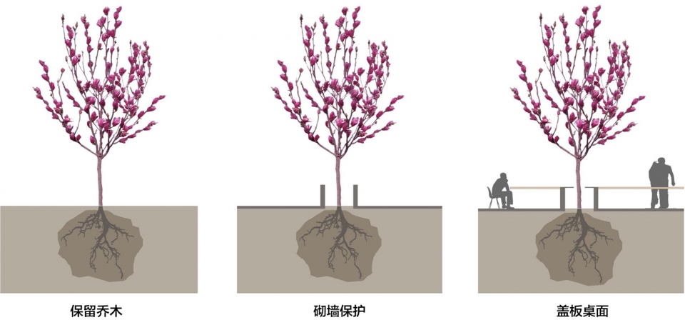 上海市实验学校中心庭院改造丨大观（上海大观景观设计有限公司）-58