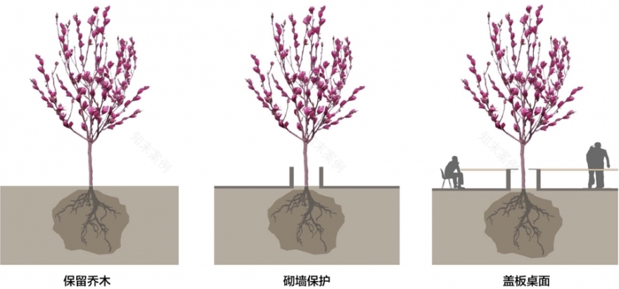 上海市实验学校中心庭院改造丨大观(上海大观景观设计有限公司)-58