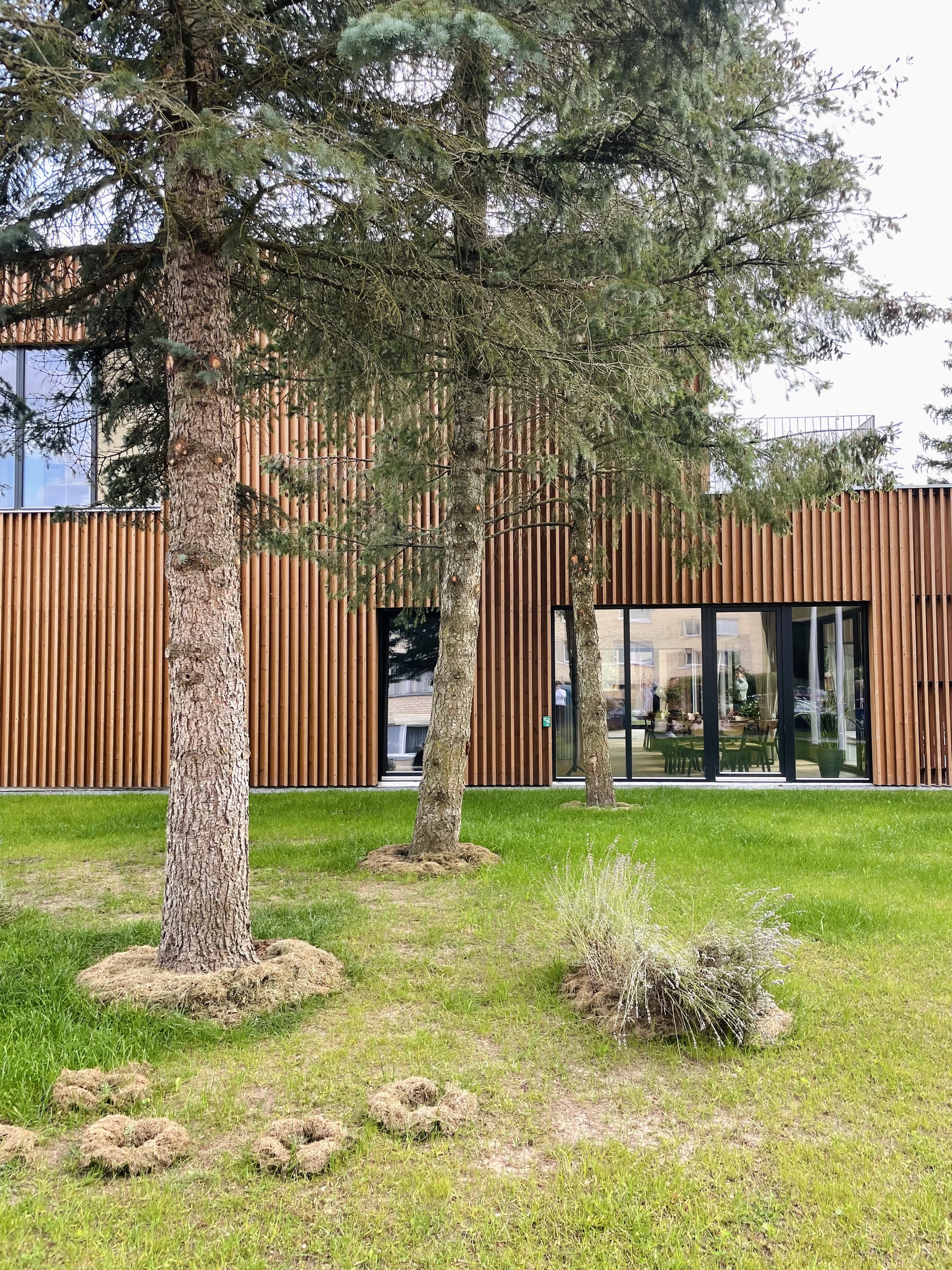 幼儿园 佩列季尤卡斯 E·张力丨立陶宛丨DO Architects-28