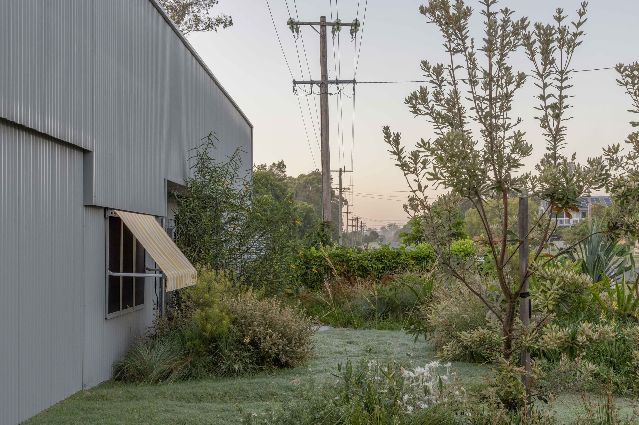 格雷博·

说明：由于Greybo可能是人名、品牌名等专有名词，这里按音译处理若有具体背景信息，可进一步优化翻译 丨澳大利亚新南威尔士丨Welsh + Major-13