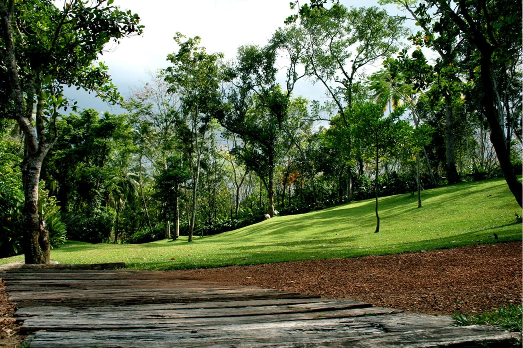 斯里兰卡“荆棘”庄园-39