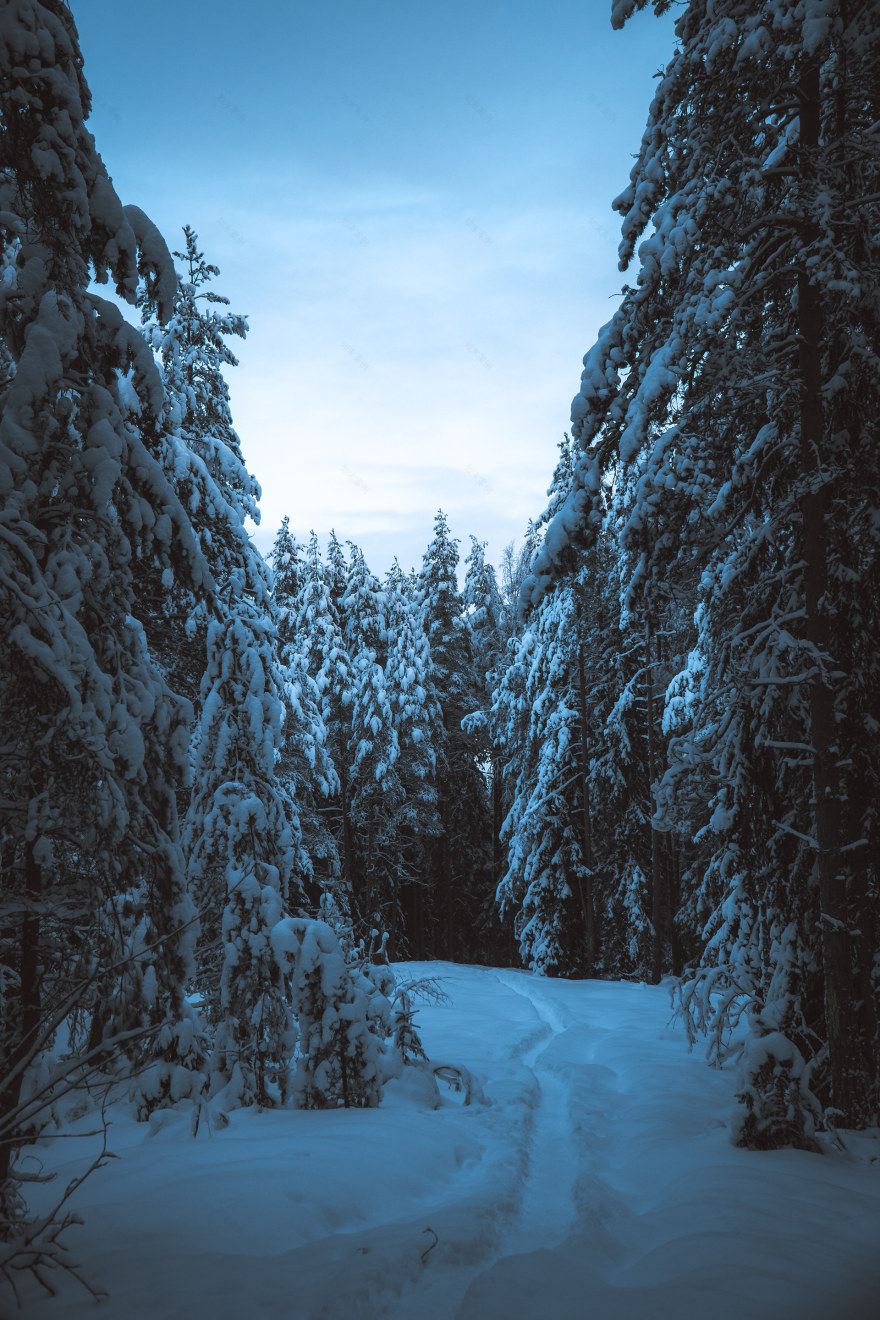 Vyborg 城市与森林景观摄影-8