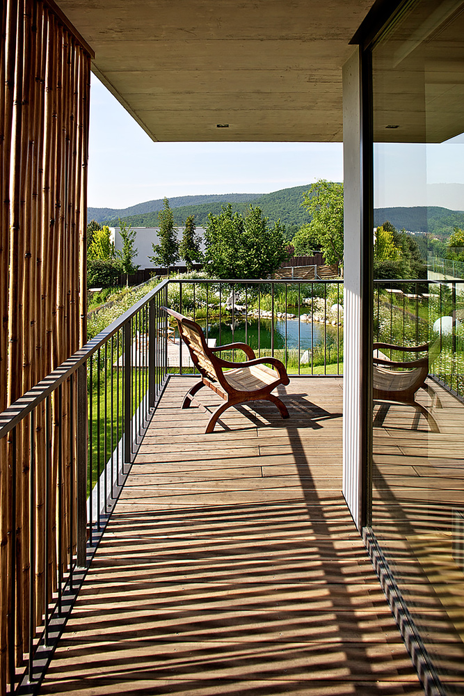 捷克布尔诺竹子别墅丨Atelier Stepan-20