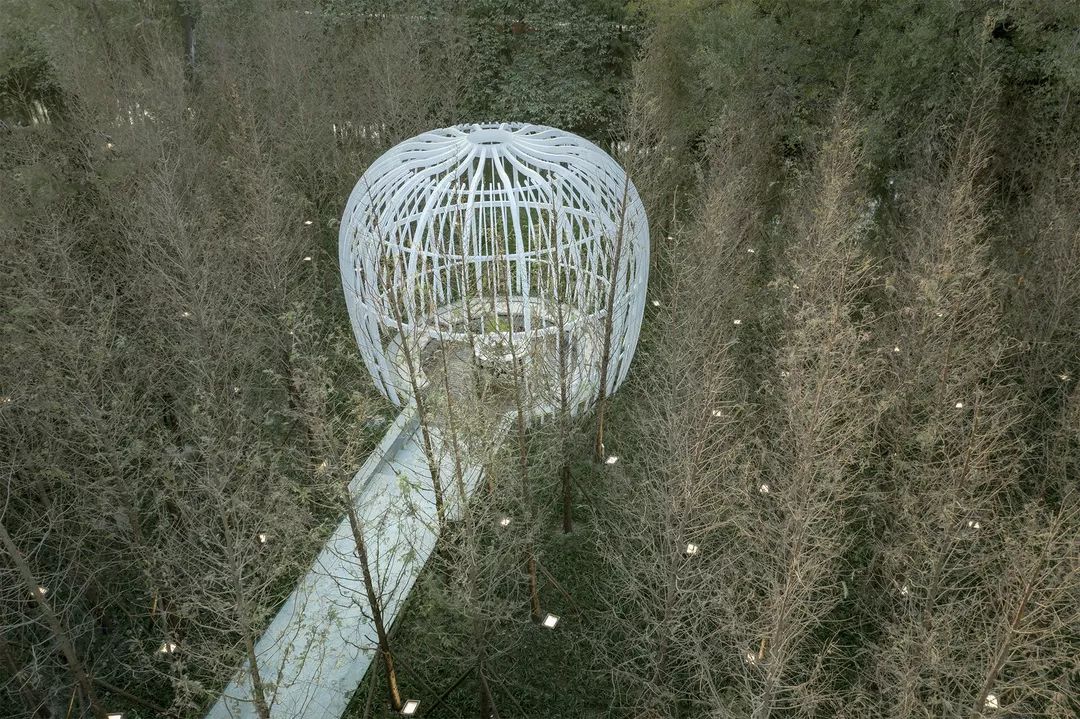  魏玛景观丨常州碧桂园•都市森林景观设计 丨中国江苏-0