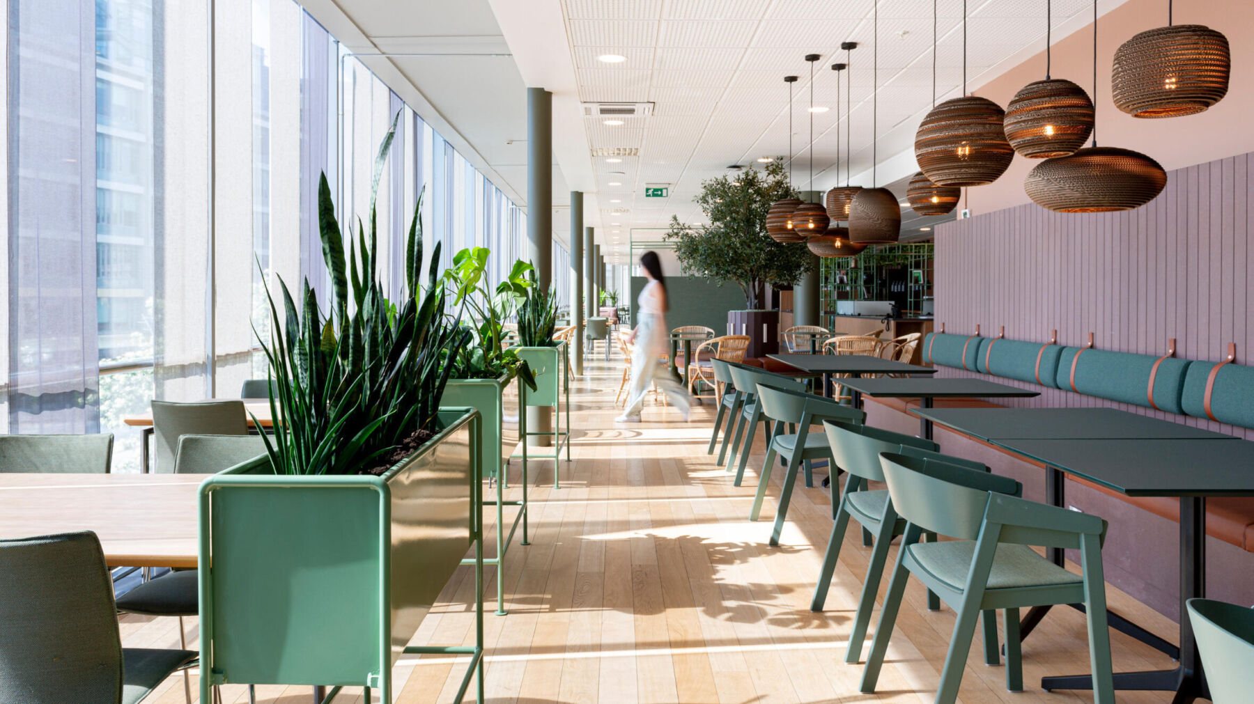 丨未明确提及-11