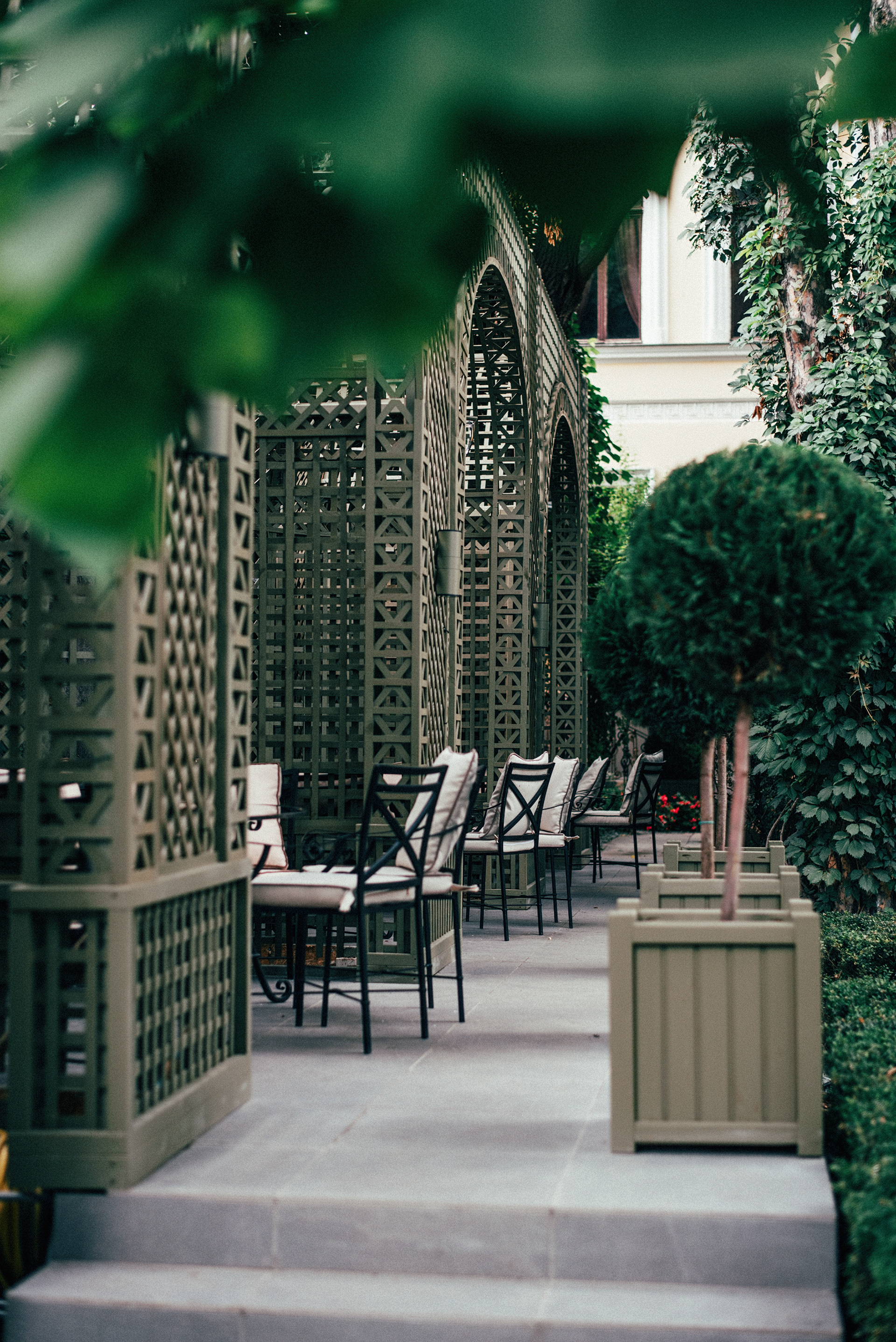 萨巴涅耶夫美食花园丨UkraineOdessa丨Synergy Group-3