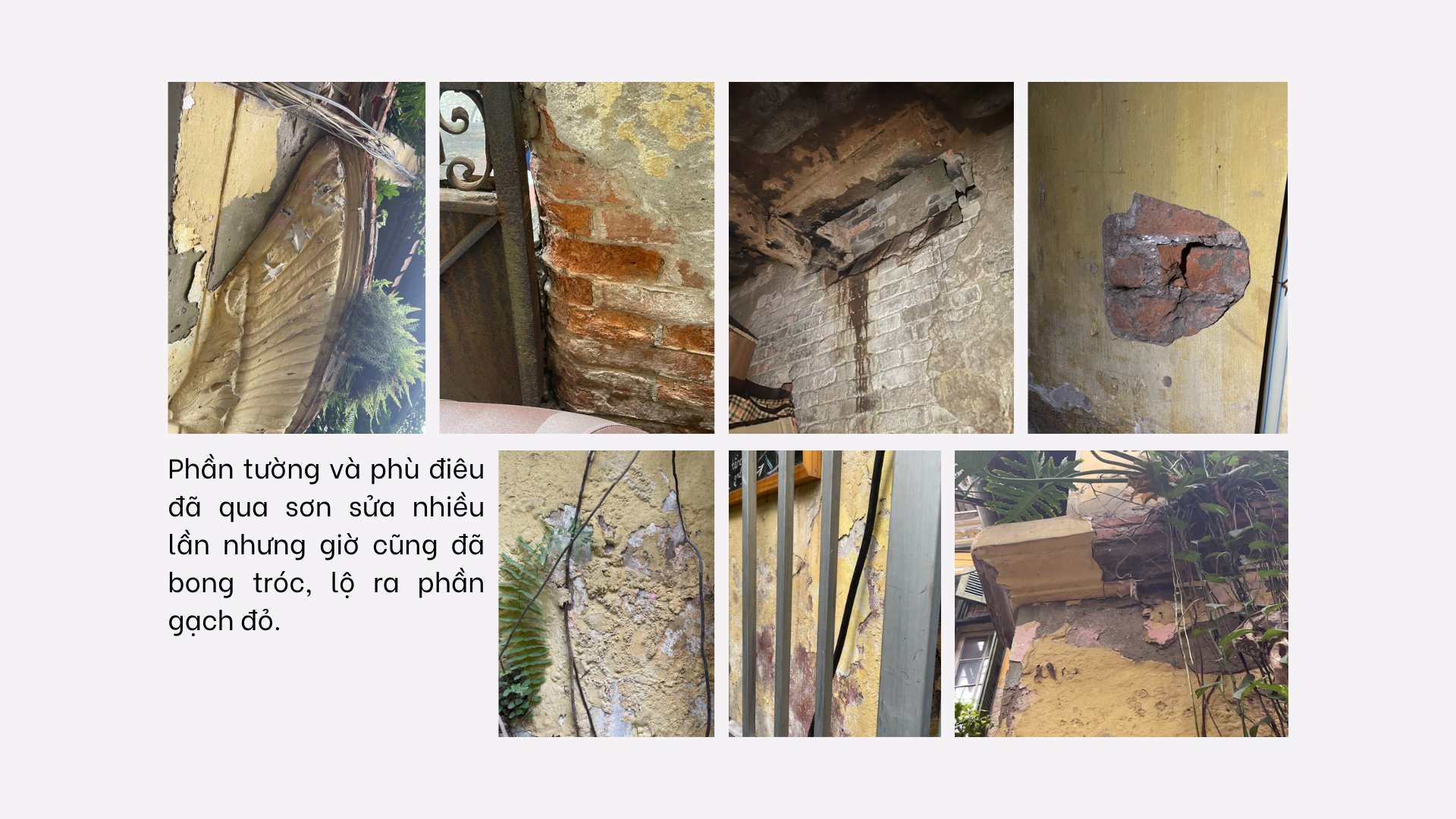 Nghiên cứu bảo tồn Biệt thự số 8 Chân Cầm-41