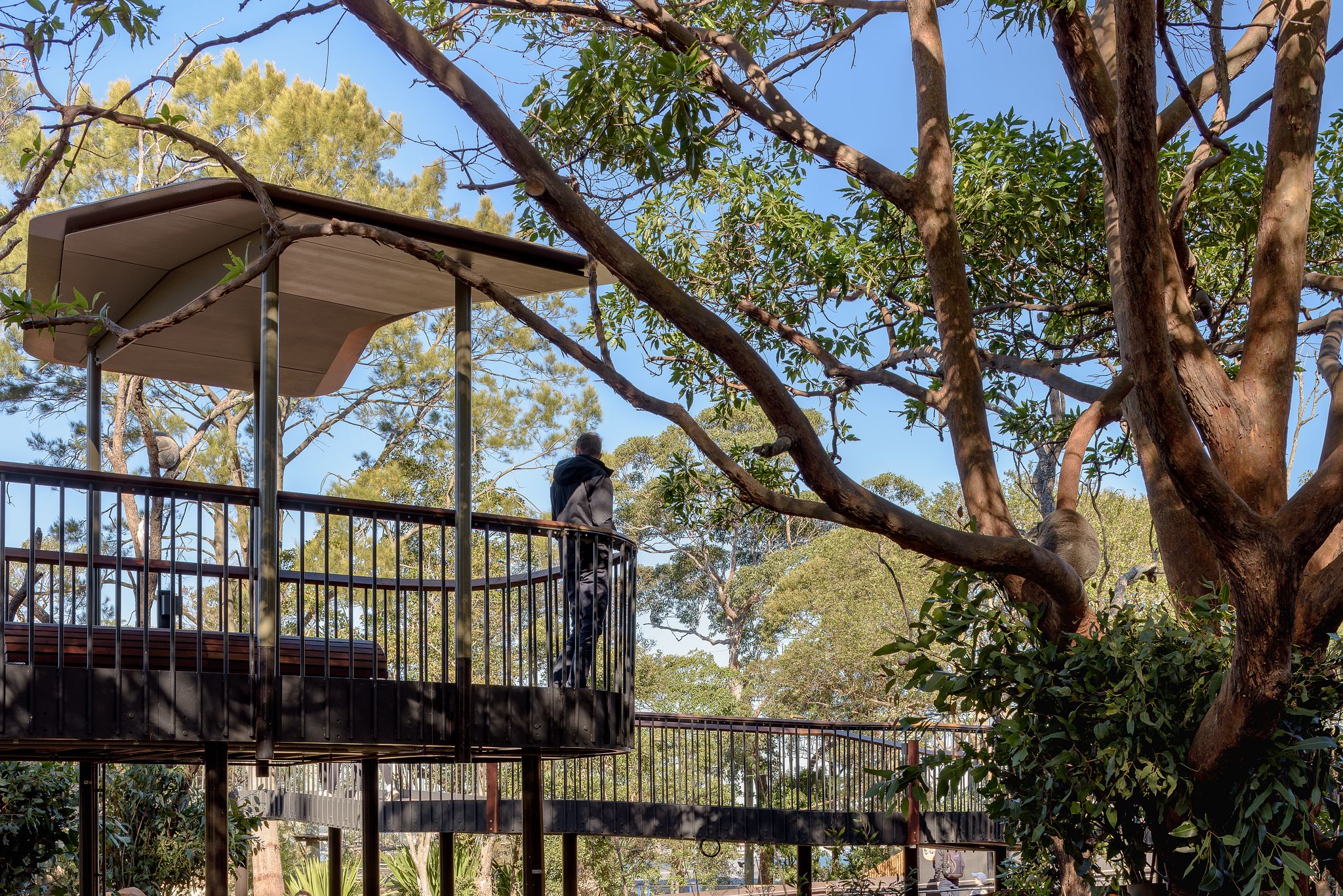 丨澳大利亚新南威尔士丨Lahz Nimmo Architects-8