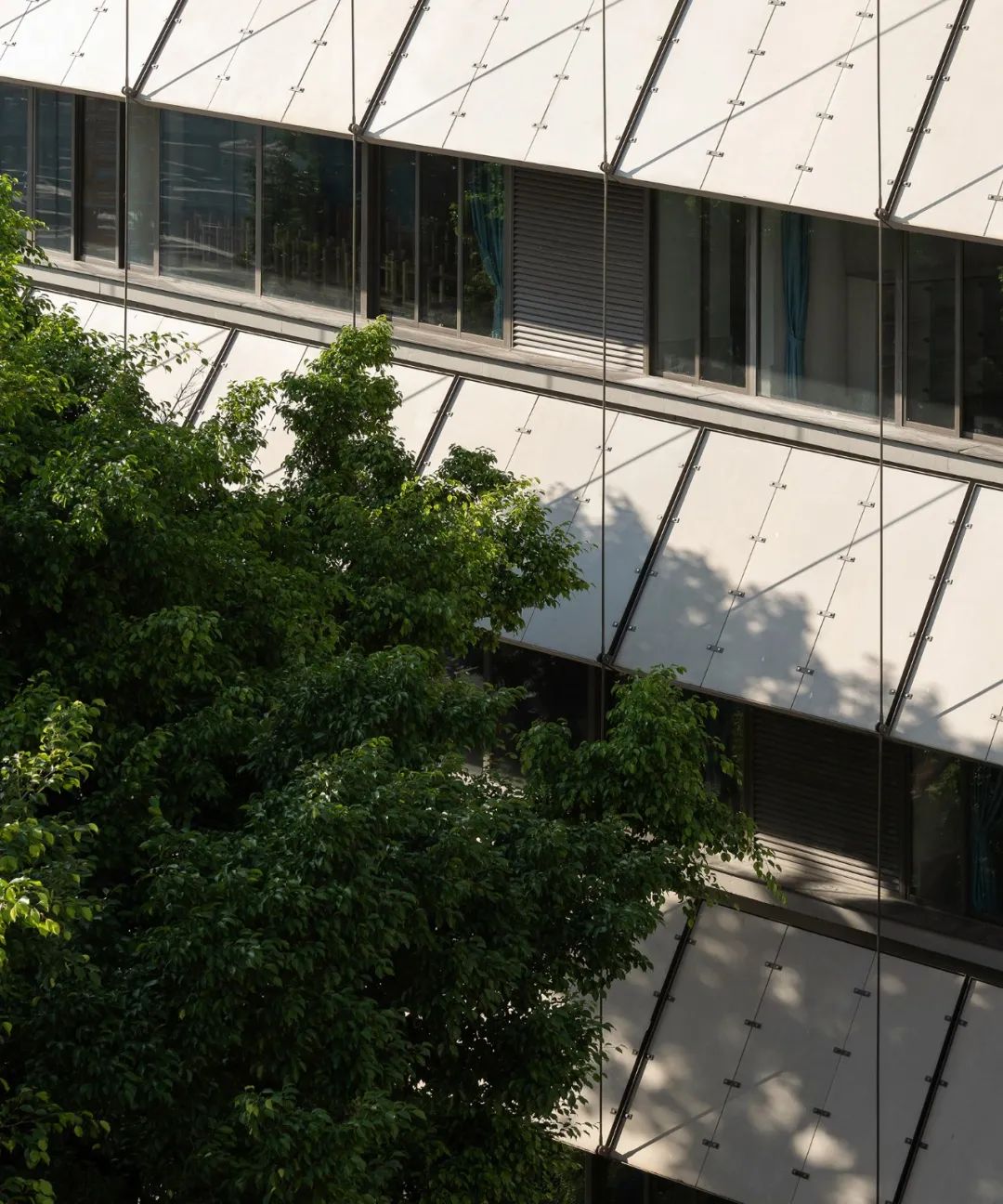 荔园外国语小学（景田）丨中国深圳丨直向建筑-27