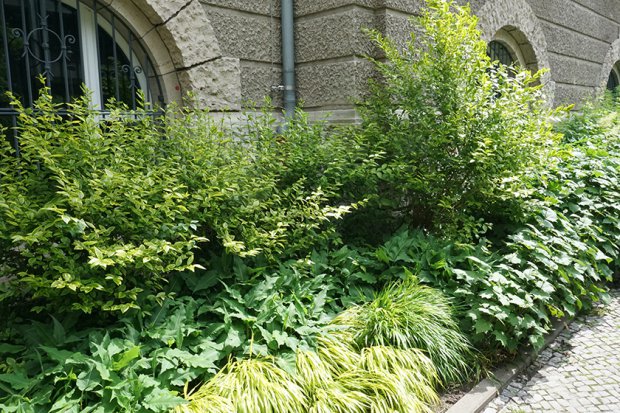 不伦瑞克市立博物馆丨Büro Christian Meyer-4