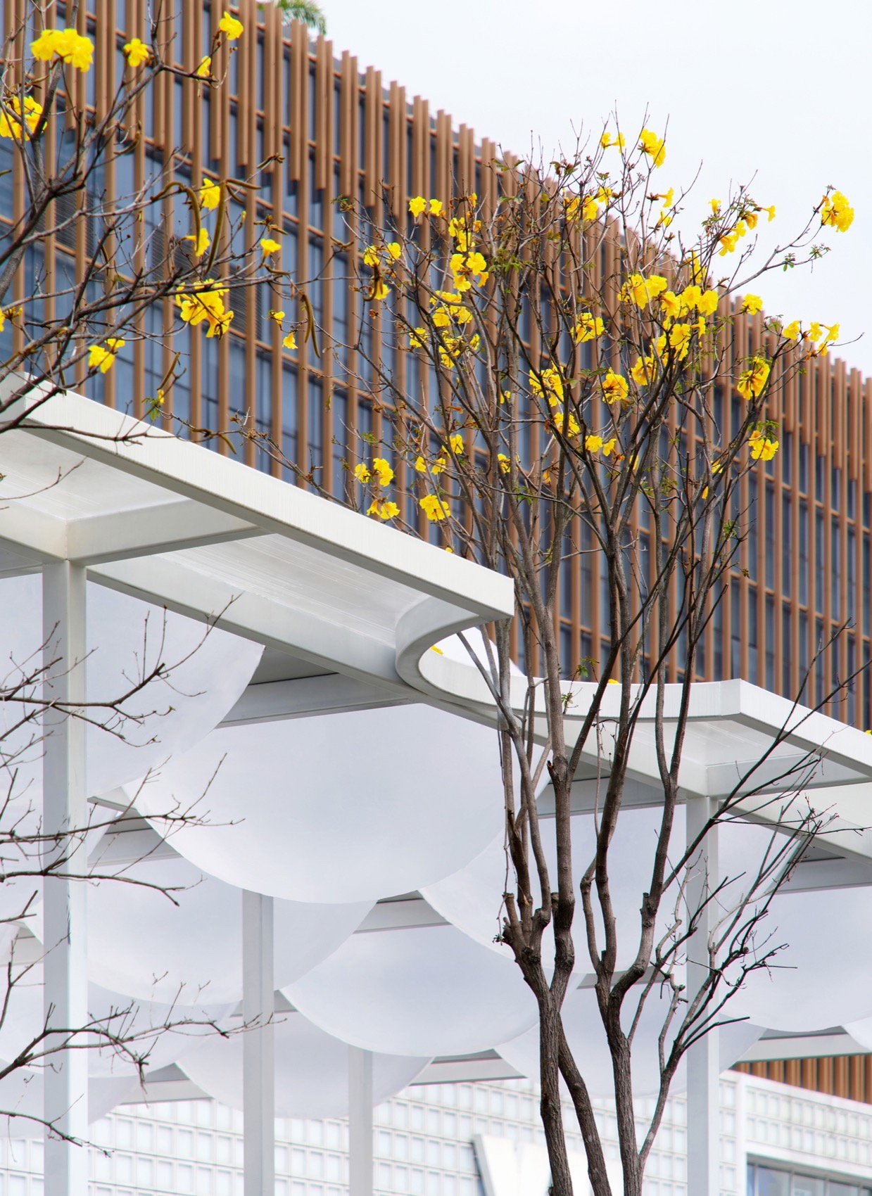 漂浮的香味 无限分之一丨中国东莞丨泛域设计-35