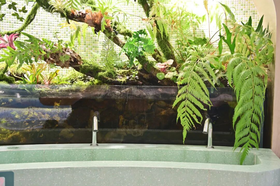 童梦森林·孩子们的成长天地——青浦世外幼儿园托育中心-21