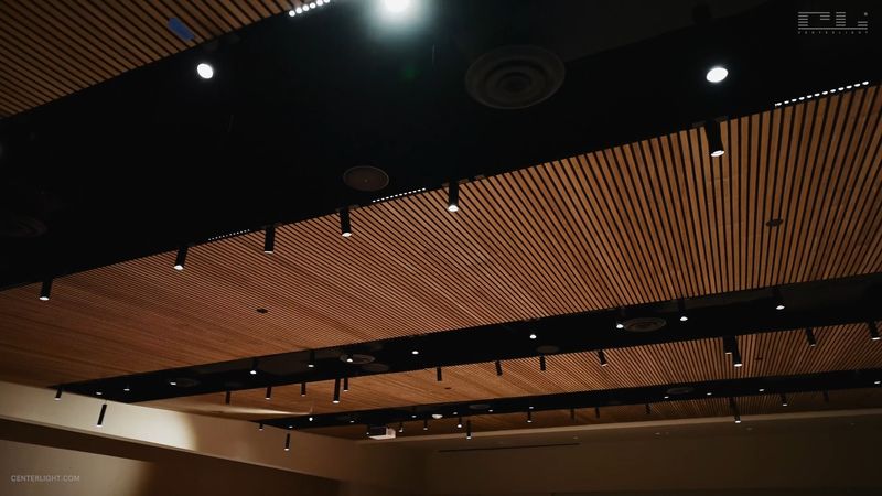 Magfinity Track System Lighting Design for Conference Hall-14