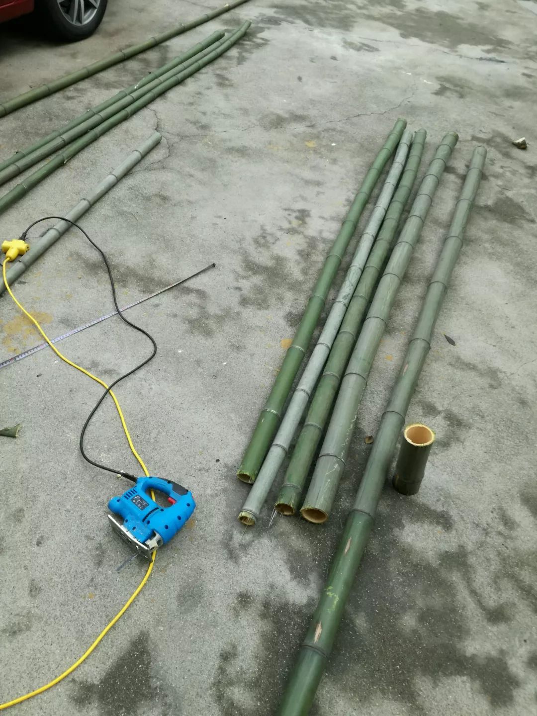 大叔也爱养花，3天造出个小花园，一分钱没花！-11