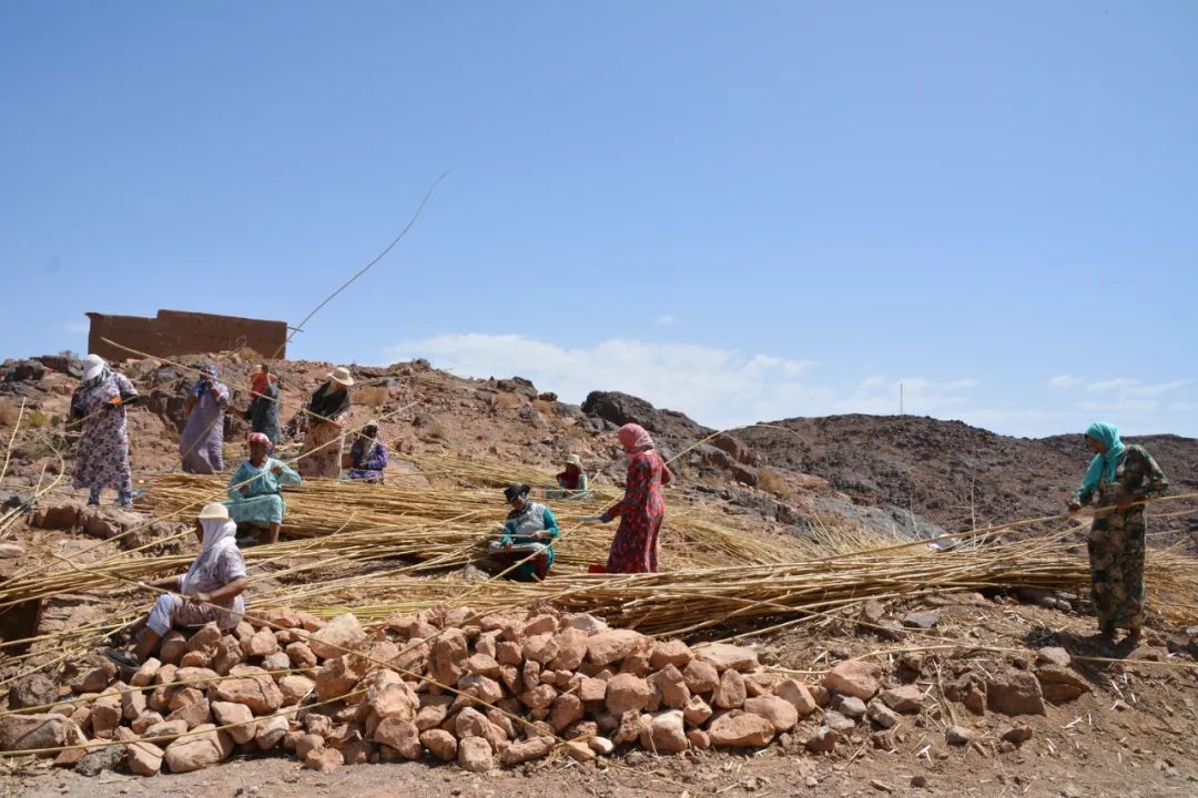 Ouled Merzoug 妇女之家设计丨摩洛哥丨Building Beyond Borders-52