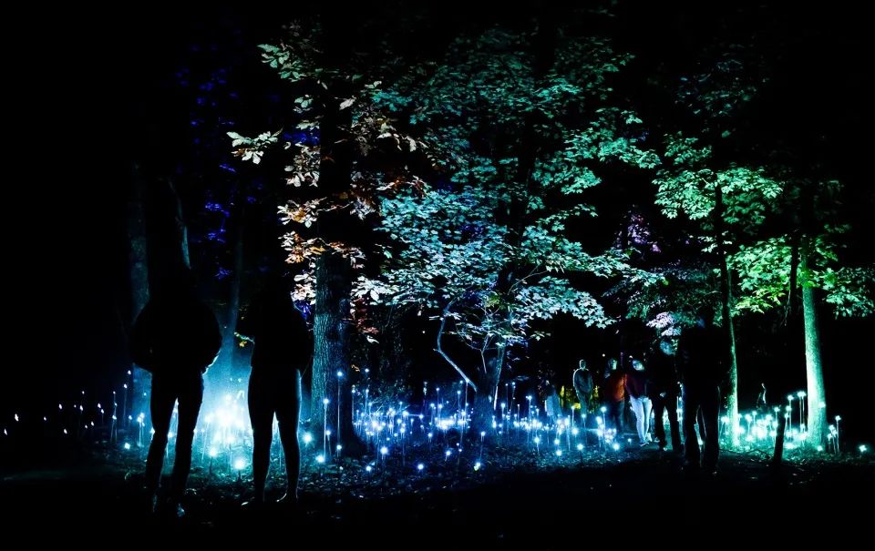 沉浸式的数字艺术之旅——Moment Factory 全球惊艳项目盘点-77