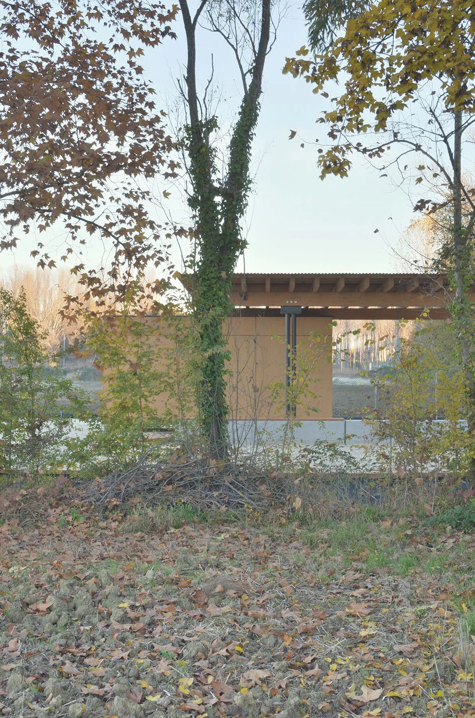 世界自然基金会诺阿勒洞穴绿洲展馆丨意大利-13