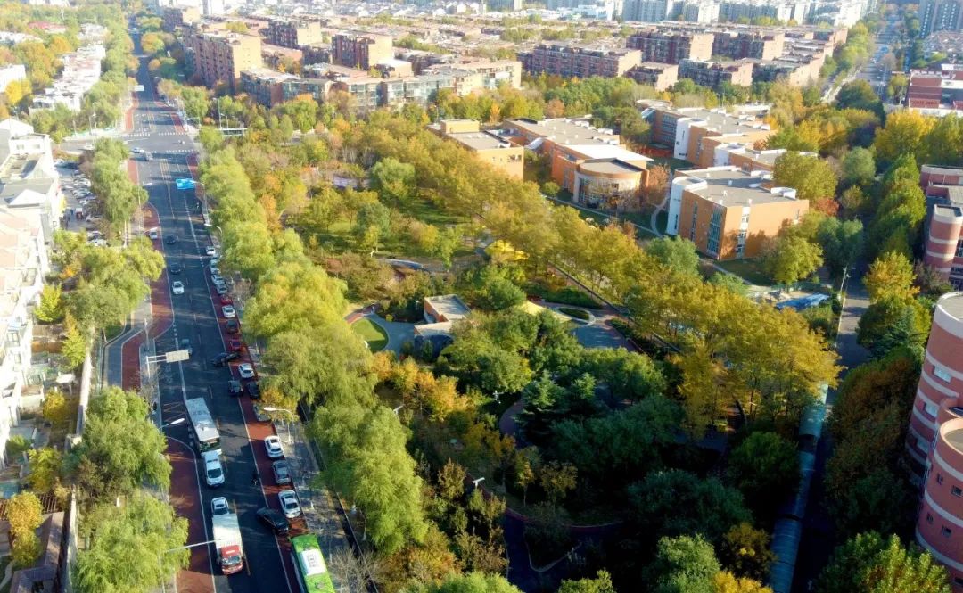 经开区9号绿地景观提升项目(海棠公园)丨中国北京丨北林地景-3