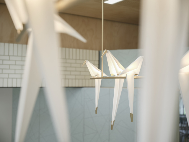 丨澳大利亚堪培拉丨COX-52